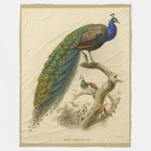Couverture Polaire Blanche polaire Peacock vintage (Devant)