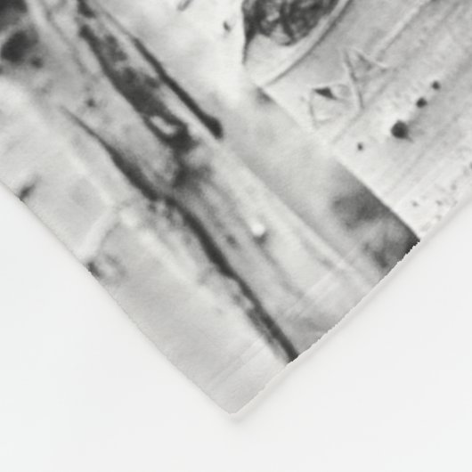 Couverture Polaire Blanket des bouleaux (Coin)