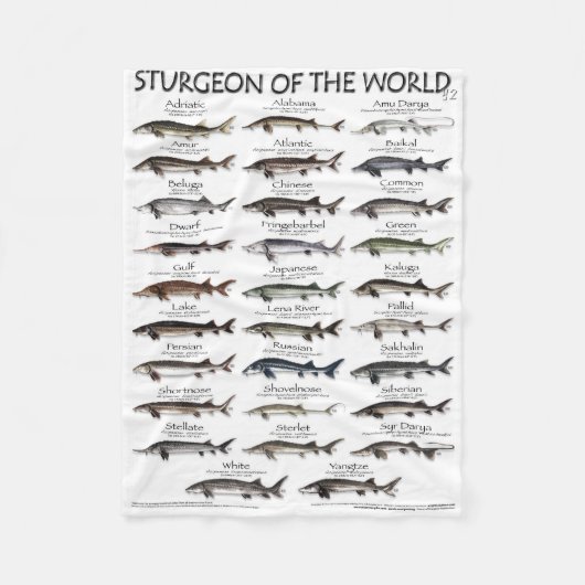 COUVERTURE POLAIRE BLANKET -STURGEON DU MONDE POSTER -PREMIER JAMAIS (Devant)