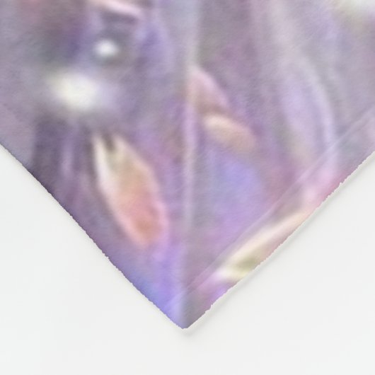 Couverture Polaire Blankets (Coin)