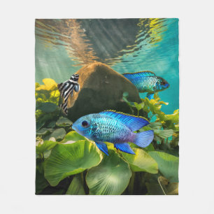Couverture Polaire Bleu électrique Acara Cichlids Zebra Pleco Poisson