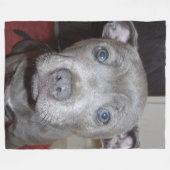Couverture Polaire Blue Staffordshire Bull Terrier Puppy (Devant (Horizontal))