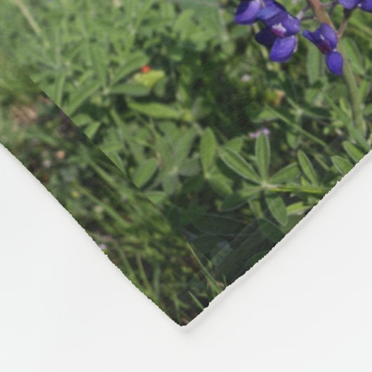 Couverture Polaire Bluebonnets de Texas "édredon " (Coin)