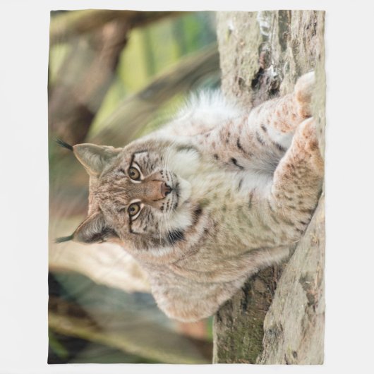 Couverture Polaire Bobcat (Devant)