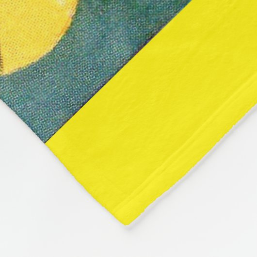 Couverture Polaire Boeing 915 1939 (Coin)