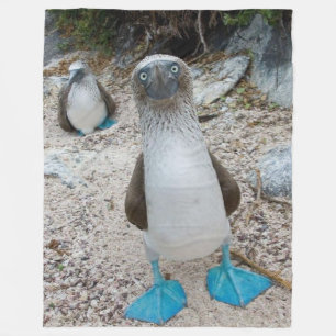 Couverture Polaire BOOBY À PIED BLEU (Honnête, c'est son nom)