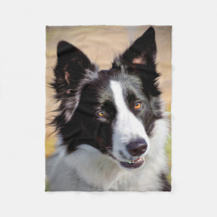 Couverture Polaire Border collie