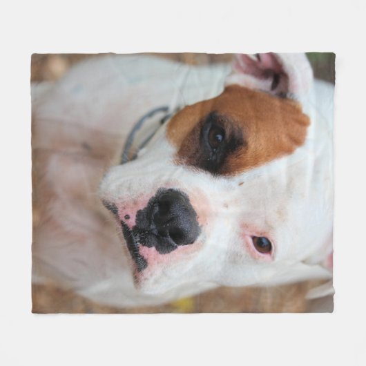 Couverture Polaire Boucle (Devant (Horizontal))