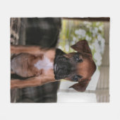 Couverture Polaire Boxer Baby (Devant (Horizontal))