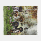 Couverture Polaire Bretagne Espagnols, chasse aux oiseaux (Devant (Horizontal))