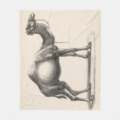 Couverture Polaire Brodtmann Dromedary Camel croquis (Devant)