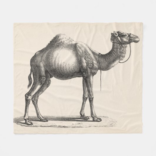 Couverture Polaire Brodtmann Dromedary Camel croquis (Devant (Horizontal))
