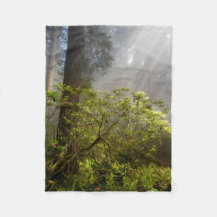 Couverture Polaire Brume matinale sur Rhododendron