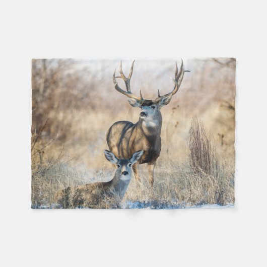 Couverture Polaire Buck Couple | Mule Deer (Devant (Horizontal))
