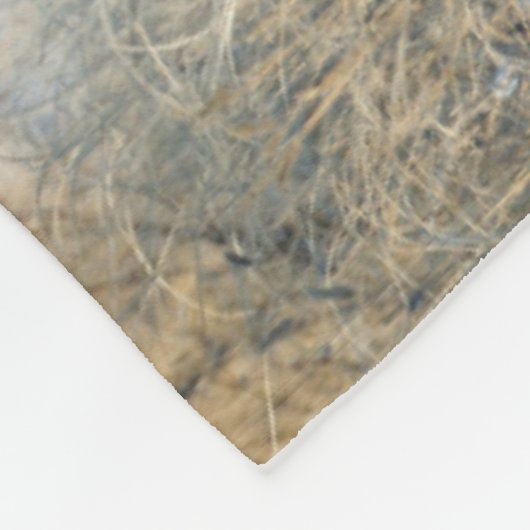 Couverture Polaire Buck Couple | Mule Deer (Coin)