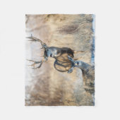 Couverture Polaire Buck Couple | Mule Deer (Devant)