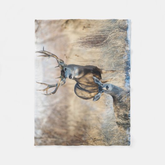 Couverture Polaire Buck Couple | Mule Deer (Devant)