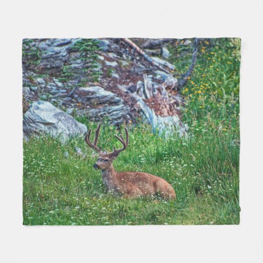 Couverture Polaire Buck de lit (Devant (Horizontal))