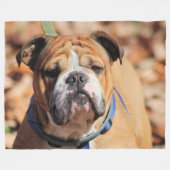 Couverture Polaire Buddy bulldog (Devant (Horizontal))