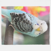 Couverture Polaire Budgie (Devant (Horizontal))