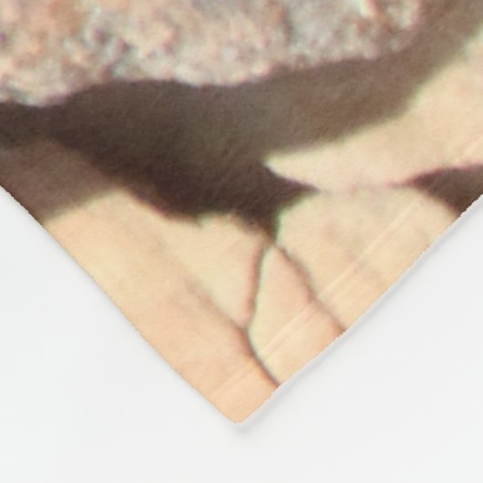 Couverture Polaire Buffalo (Coin)