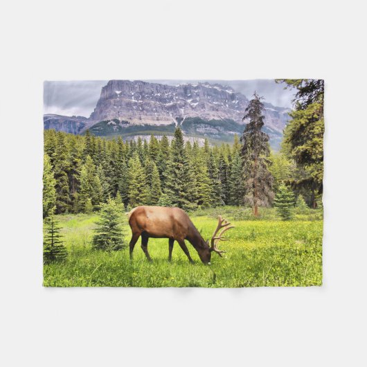 Couverture Polaire Bull Elk and Castle Mountain à Banff (Devant (Horizontal))