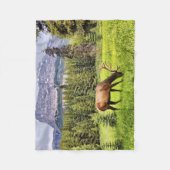 Couverture Polaire Bull Elk and Castle Mountain à Banff (Devant)