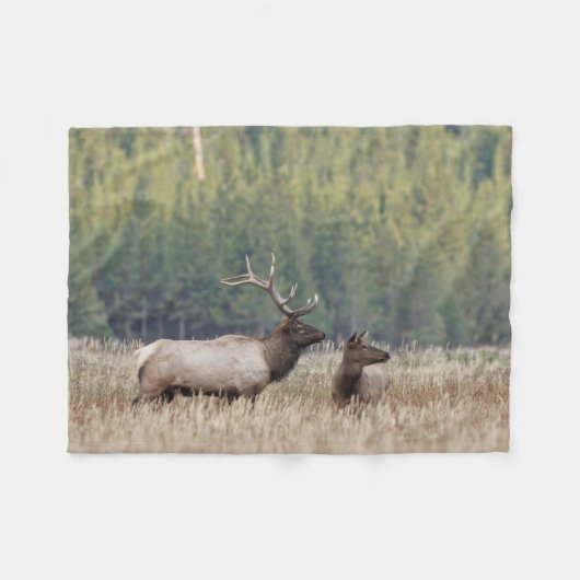 Couverture Polaire Bull Elk dans le pré | Parc national de Yellowston (Devant (Horizontal))