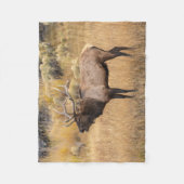 Couverture Polaire Bull Elk | Parc national de Yellowstone (Devant)