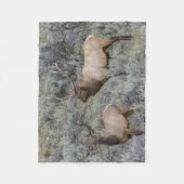 Couverture Polaire Bull Elk | Parc national de Yellowstone, Wyoming (Devant)