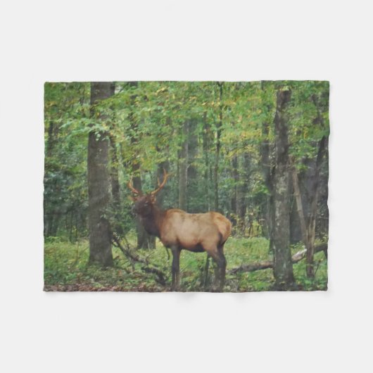 Couverture Polaire Bull Male Elk à autumn field (Devant (Horizontal))