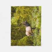 Couverture Polaire Bull Roosevelt Elk Debout Dans Le Pré (Devant)