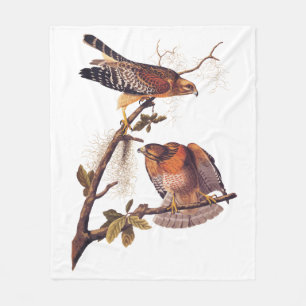 Couverture Polaire Buse à épaulettes roux Audubon Oiseau de proie