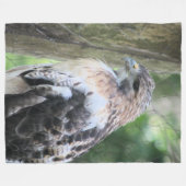 Couverture Polaire Buse à queue rouge (Devant (Horizontal))