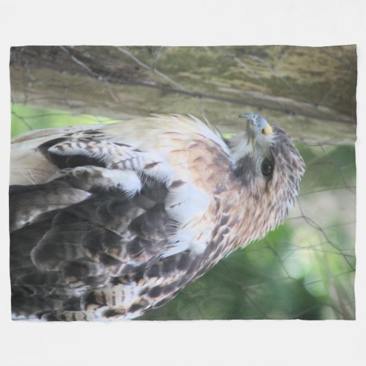 Couverture Polaire Buse à queue rouge (Devant (Horizontal))