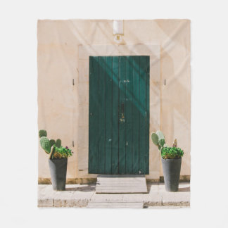 COUVERTURE POLAIRE CACTUS VERT PLANTE PRÈS DE PORTE VERTE