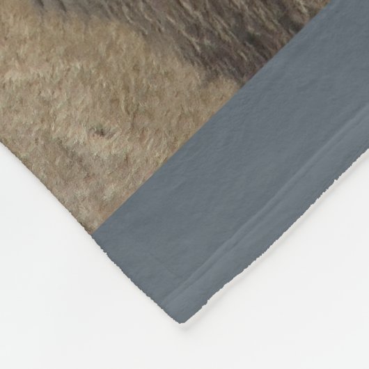 Couverture Polaire Cadeaux Lion Lovers (Coin)