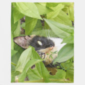 Couverture Polaire Calico Cat dans les Zinnias (Devant)