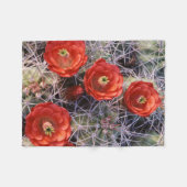 Couverture Polaire California, Joshua Tree National Park, Claret (Devant (Horizontal))