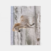 Couverture Polaire Camargue Horse court de Surf (Devant)