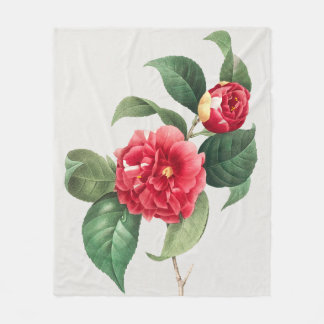 Couverture Polaire Camélia panaché, Pierre-Joseph Redouté, 1833