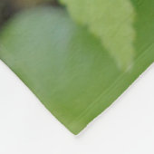 Couverture Polaire Canada, Colombie-Britannique. Dogwood nain (Coin)