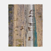 Couverture Polaire Canadian Rockies Wapiti (Elk) (Devant)