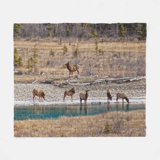 Couverture Polaire Canadian Rockies Wapiti (Elk) (Devant (Horizontal))