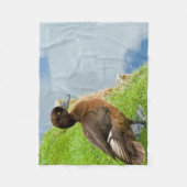 Couverture Polaire Canard de plongée tufté brun-rougeâtre femelle (Devant)