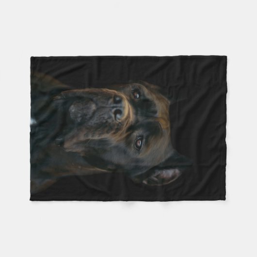 Couverture Polaire Canne Corso - mastiff italien (Devant (Horizontal))