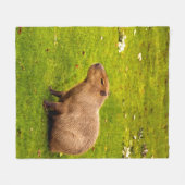 Couverture Polaire Capybara (Devant (Horizontal))