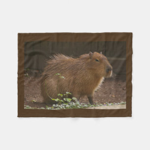 Couverture Polaire Capybara