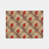 Couverture Polaire Cardinal (Devant (Horizontal))