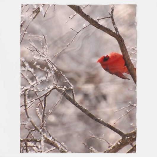 COUVERTURE POLAIRE CARDINAL (Devant)